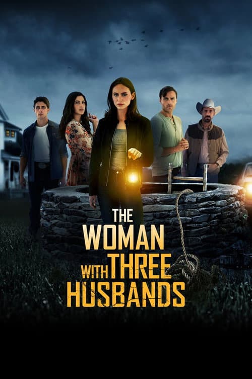 Poster for The Woman with Three Husbands