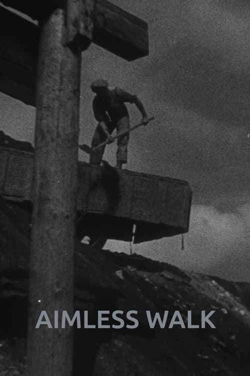 Poster for Aimless Walk
