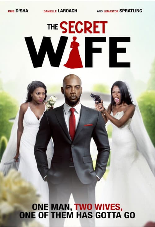 Poster for The Secret Wife