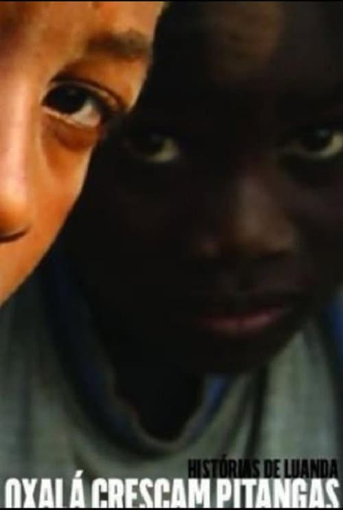 Постер до фільму «Tales of Luanda: Hope the Pitanga Cherries Grow»