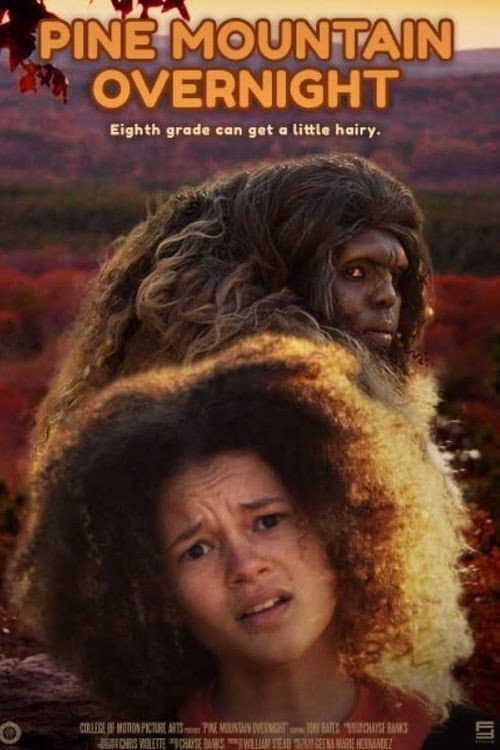 Poster for Pine Mountain Overnight