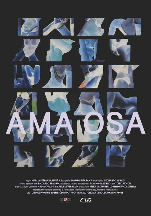 Poster for Ama Osa