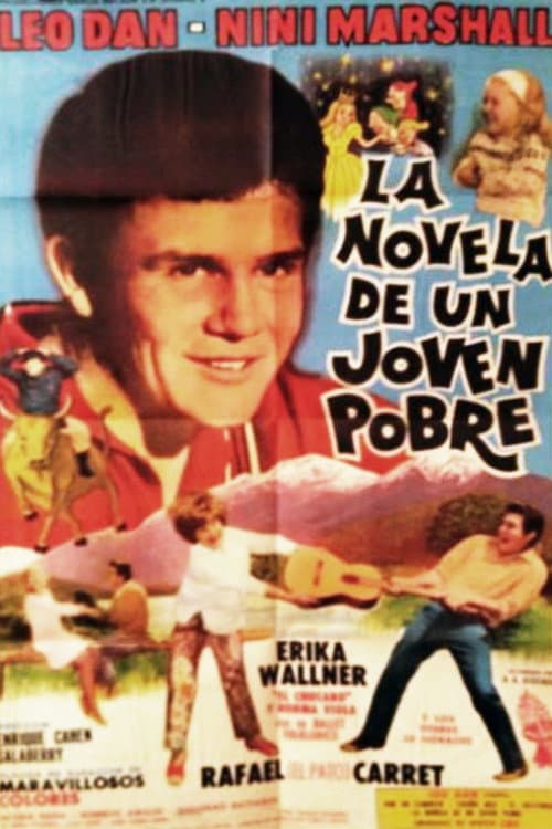 Poster for The novel of a poor young man