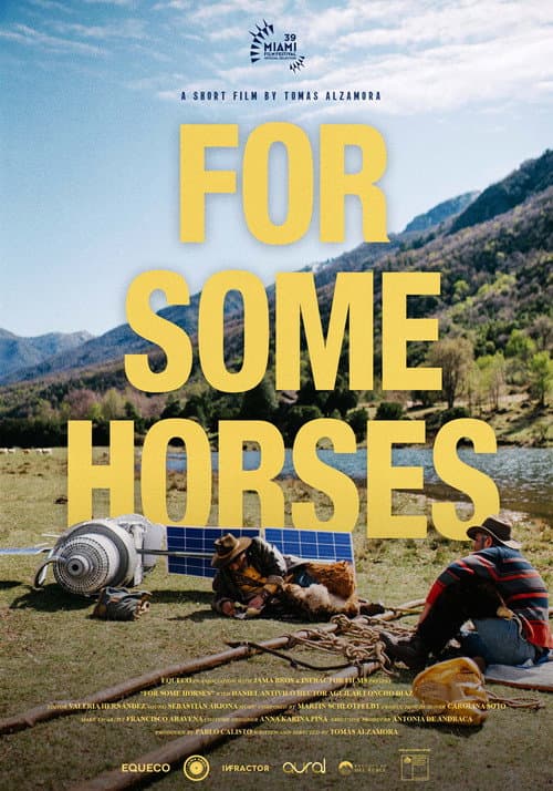 Poster for For Some Horses