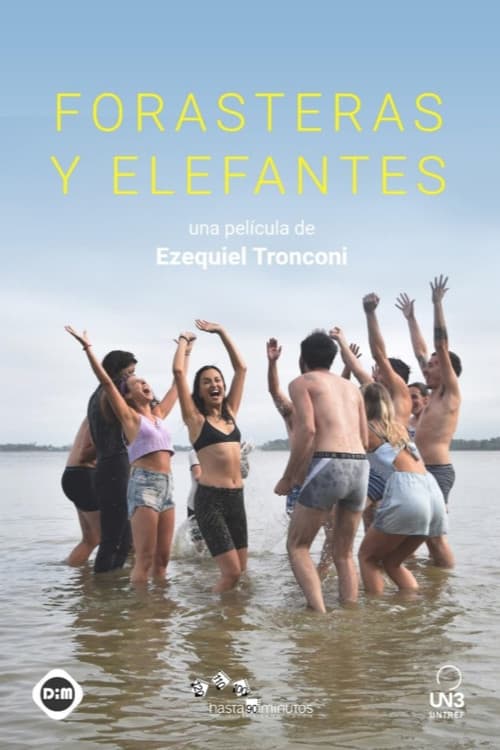 Poster for Forasteras Y Elefantes