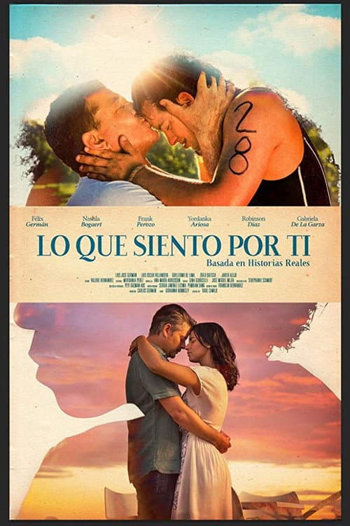 Poster for What I Feel For You