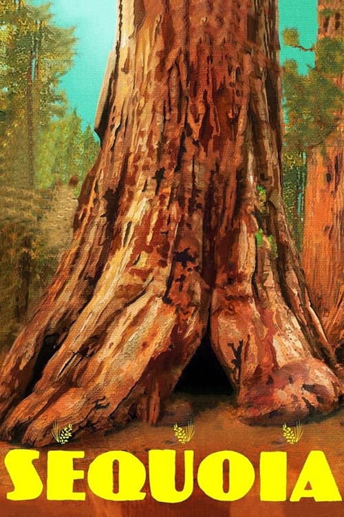 Poster for Sequoia