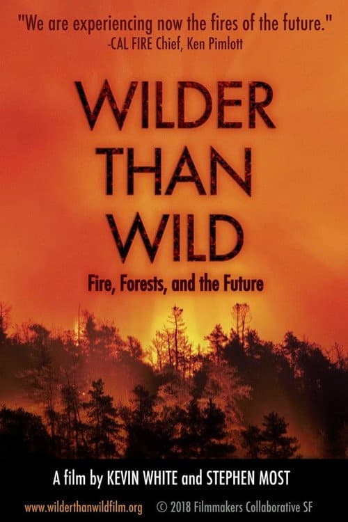 Poster for Wilder than Wild: Fire, Forests, and the Future