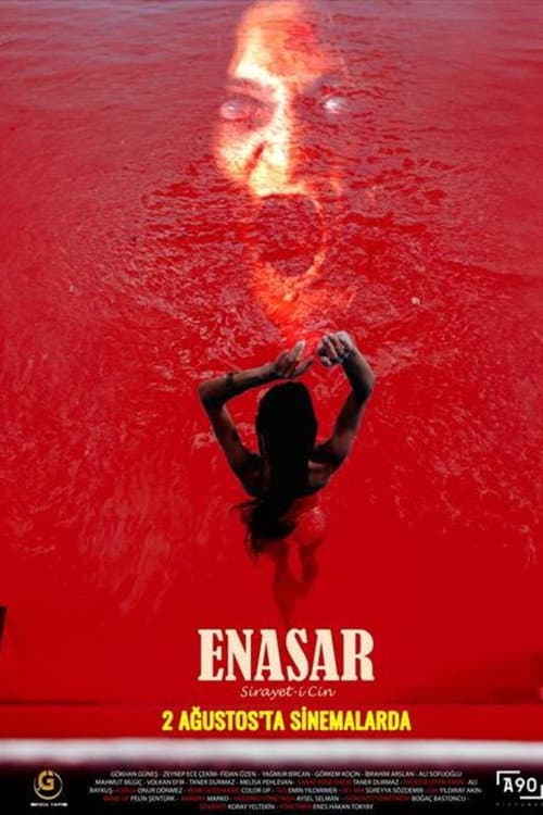 Poster for Enasar: Sirayet-i Cin
