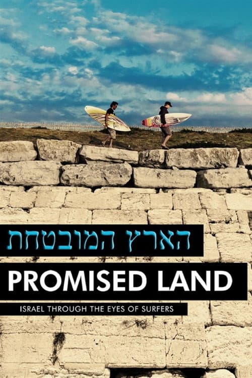 Poster for הארץ המובטחת