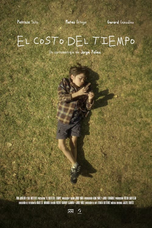 Poster for The cost of time
