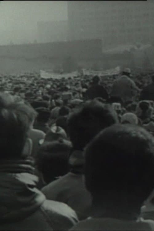 Poster for Chronicle of an Undeclared Demonstration