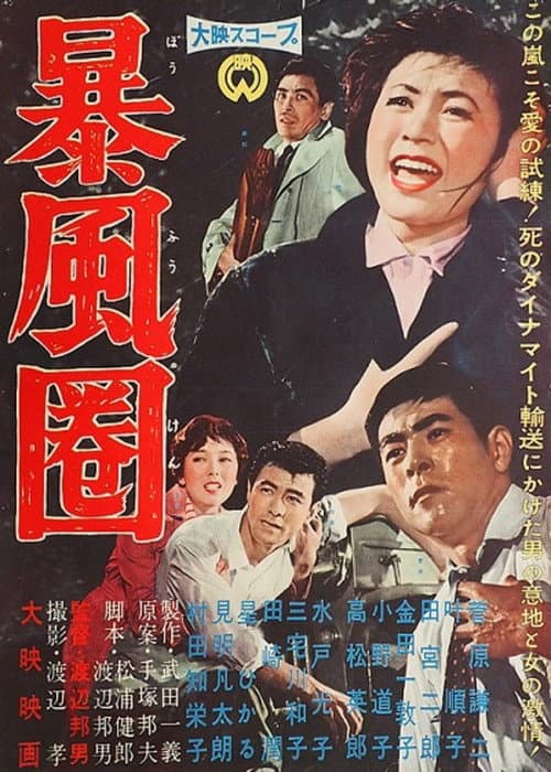 Poster for A Storm Zone