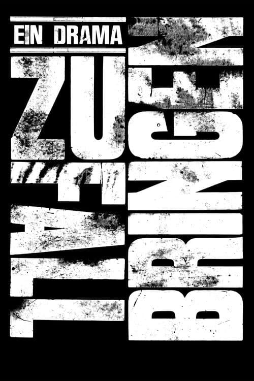Постер до фільму «Zufallbringen»