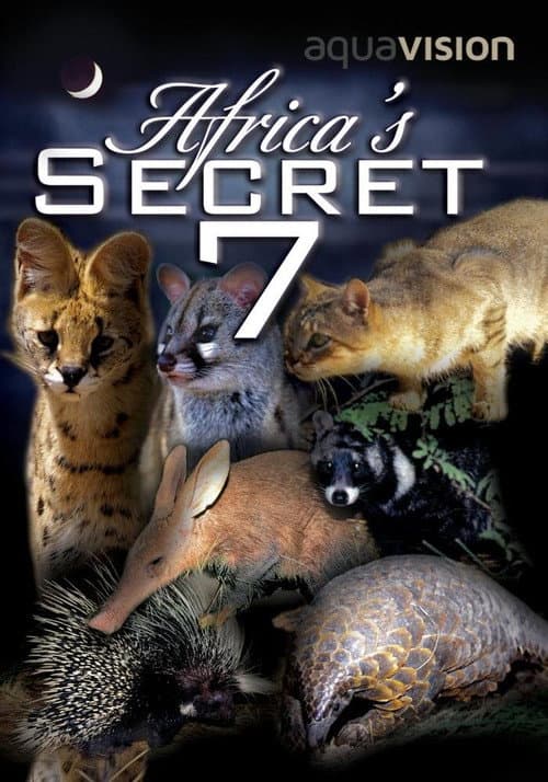 Poster for Africa's Secret Seven