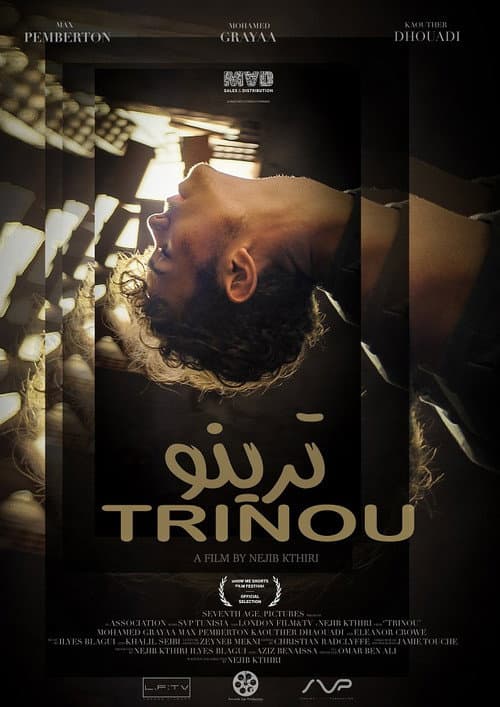 Poster for Trinou