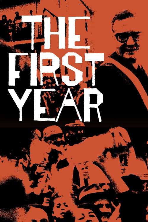 Poster for The First Year