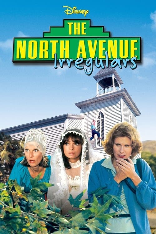 Poster for The North Avenue Irregulars