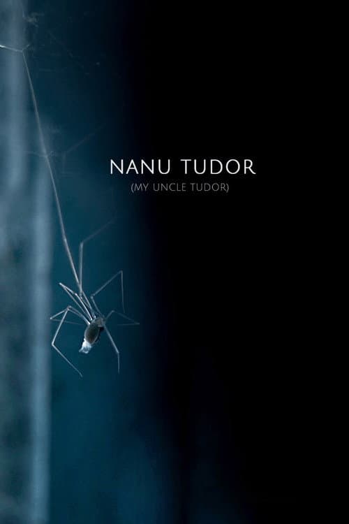Poster for My Uncle Tudor