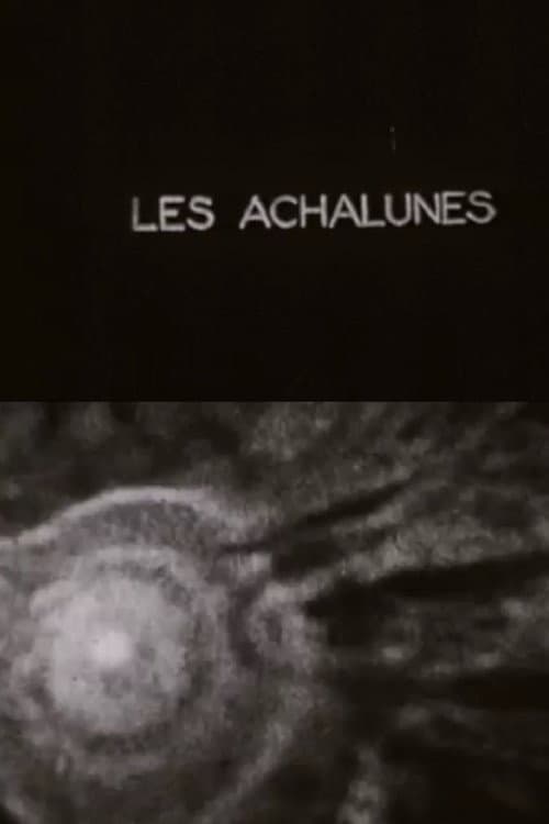 Poster for The Achalunés