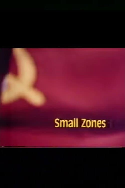 Poster for Small Zones