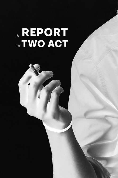 Poster for Screenplay: A report in two act