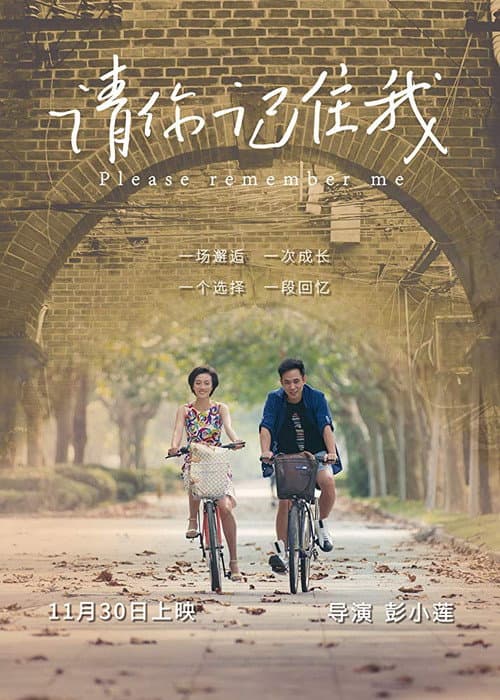 Poster for Please Remember Me