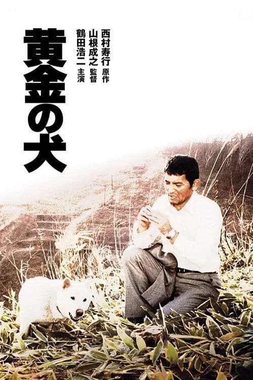 Poster for Dog of Fortune