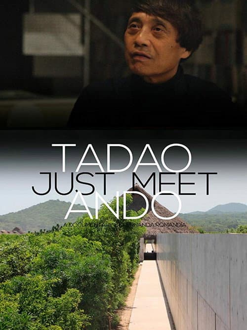 Poster for Just Meet