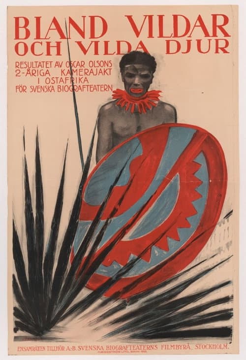 Poster for Wild Africa