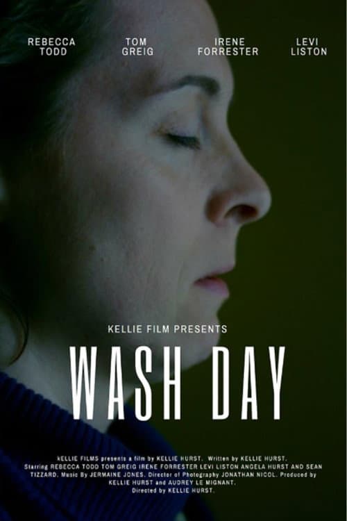 Poster for Wash Day