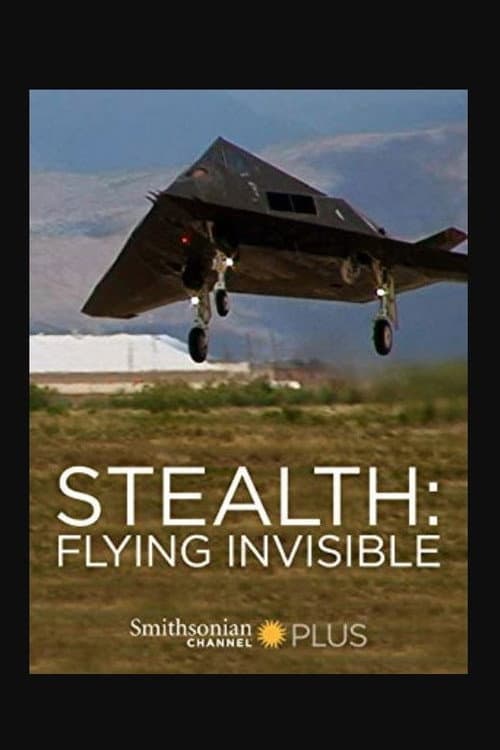 Poster for Stealth: Flying Invisible