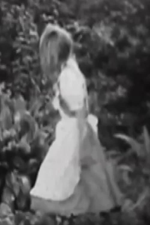 Постер до фільму «Alicia, Lewis Carroll y el tiempo»