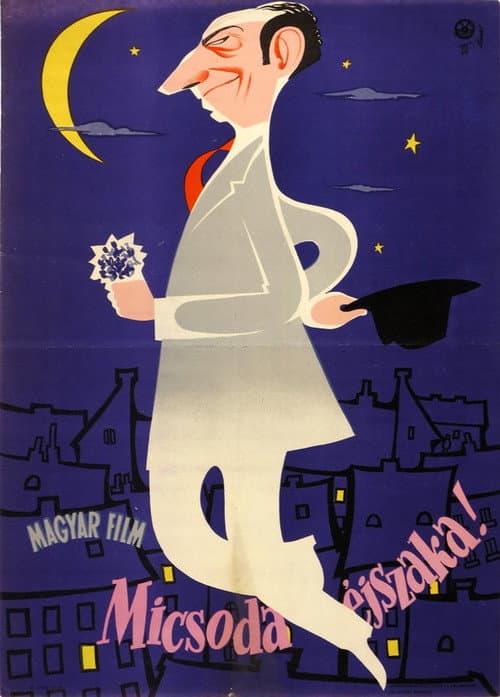 Poster for What a Night!