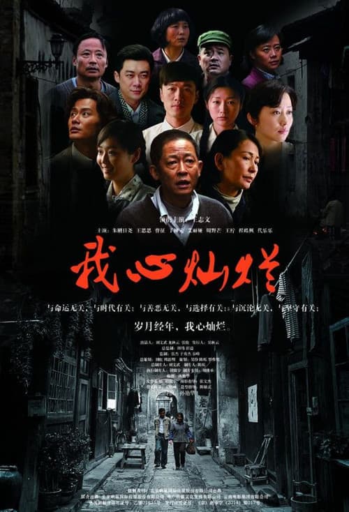 Poster for 我心灿烂