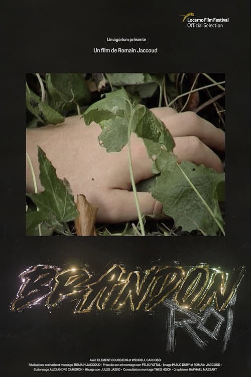 Poster for Brandon Roi
