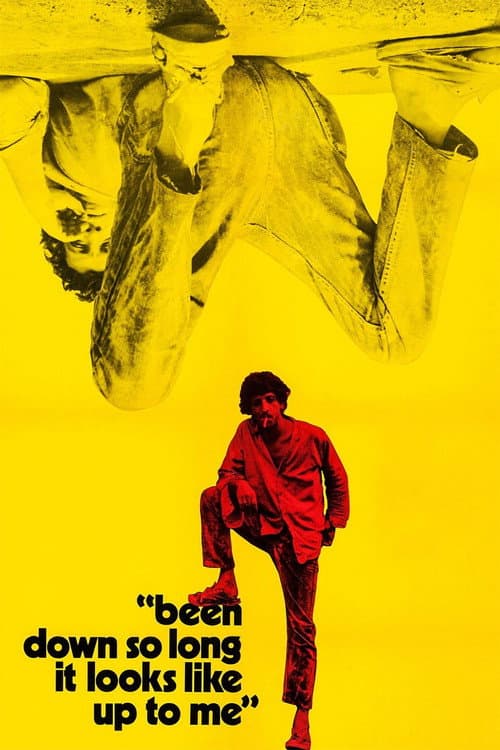 Poster for Been Down So Long It Looks Like Up to Me