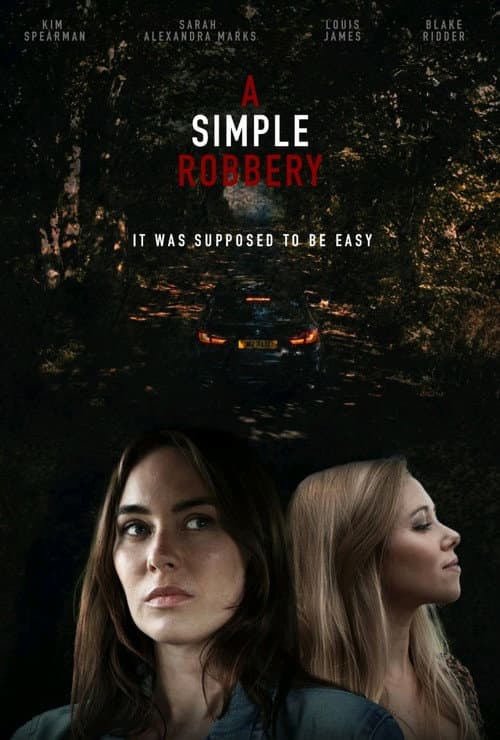 Poster for A simple robbery