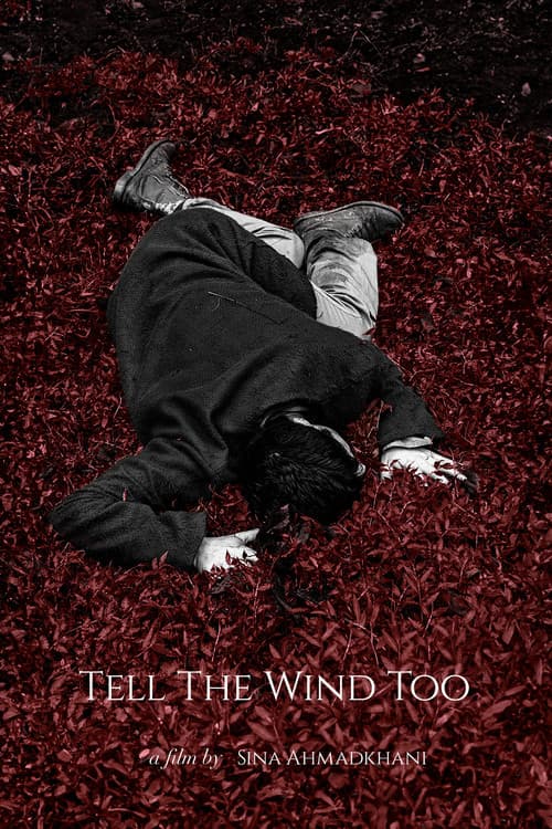 Poster for Tell the Wind Too