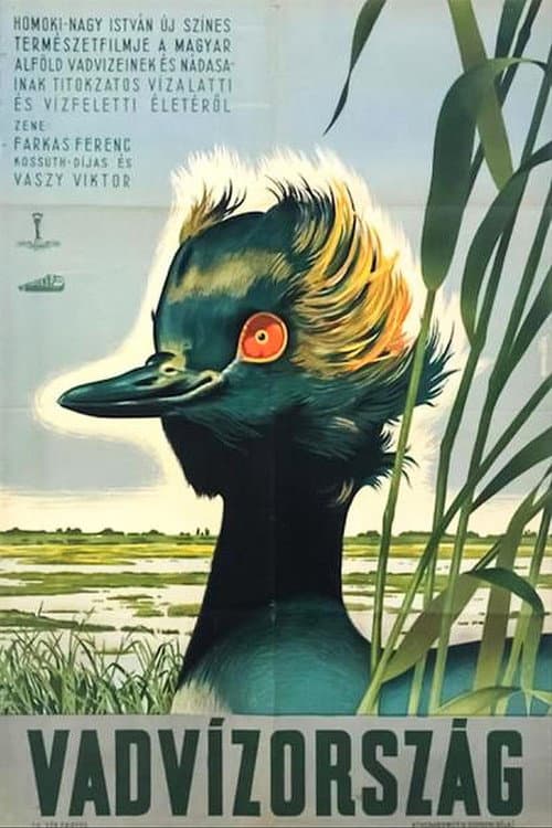Poster for Vadvízország