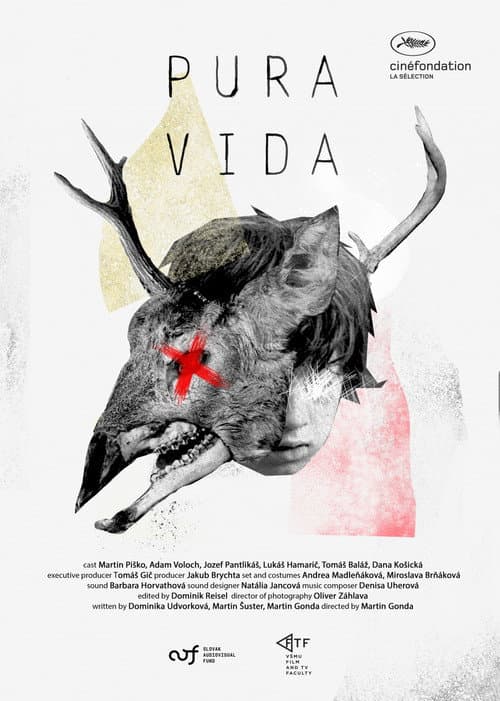Poster for Pura Vida