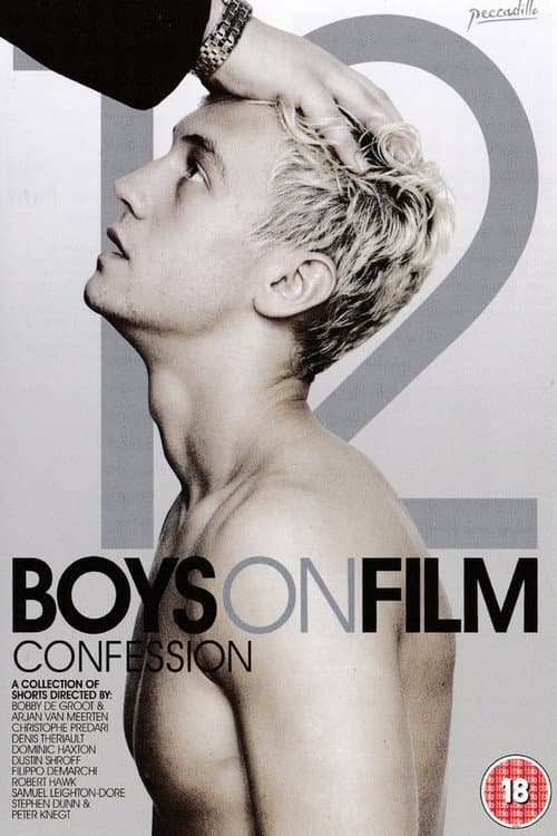 Poster for Boys on Film 12: Confession