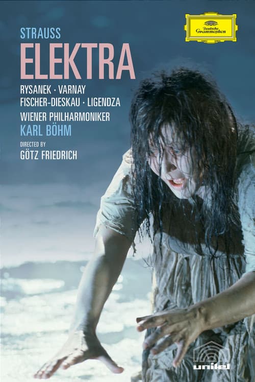 Poster for Elektra