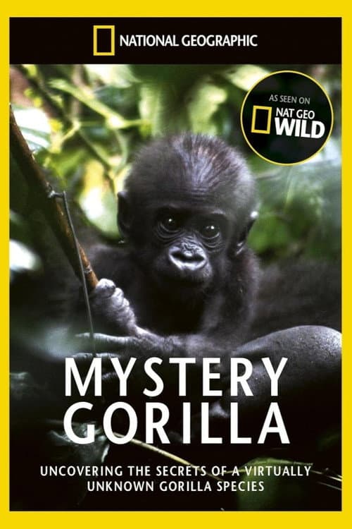 Poster for De mystiske gorillaer