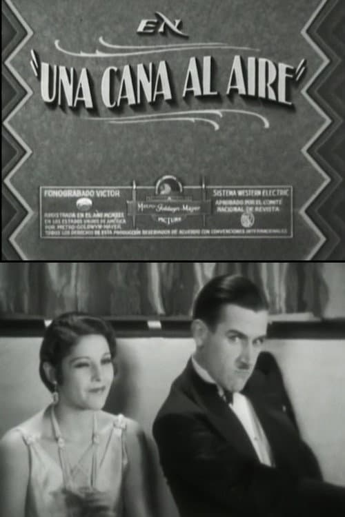Poster for A gray in the air