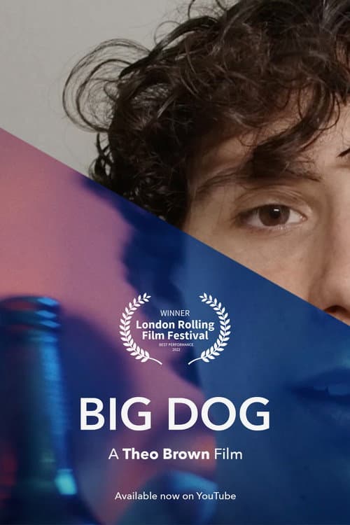 Poster for Big Dog
