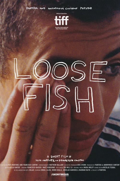 Poster for Loose Fish