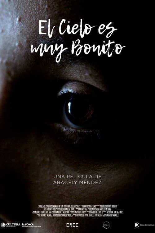 Poster for El cielo es muy bonito