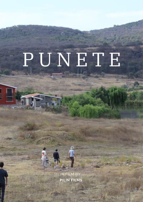 Poster for "PUNETE"