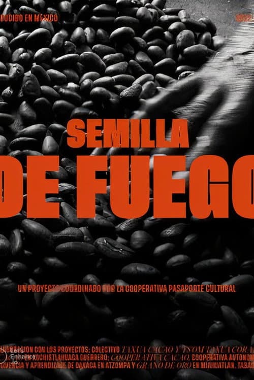 Poster for Seed of Fire